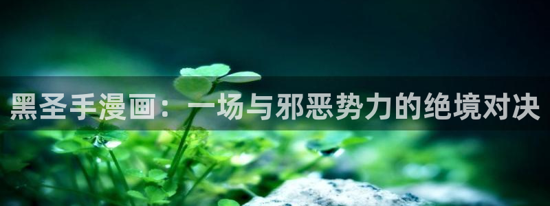 韩漫偷窥免费网站：黑圣手漫画：一场与邪恶势力的绝境对决